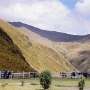 Pferdekoppel unterhalb des Pichincha