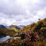 Nationalpark Cajas 4