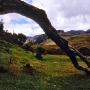 Nationalpark Cajas 6